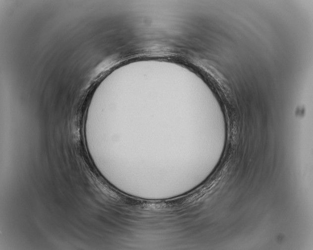 X0000097921451200804111127