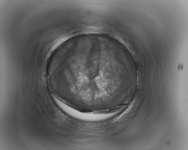 X0000097921453200804111127