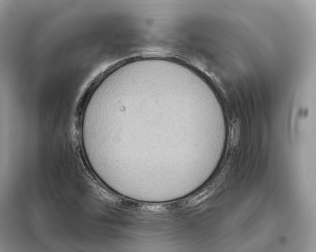 X0000097921454200804111127