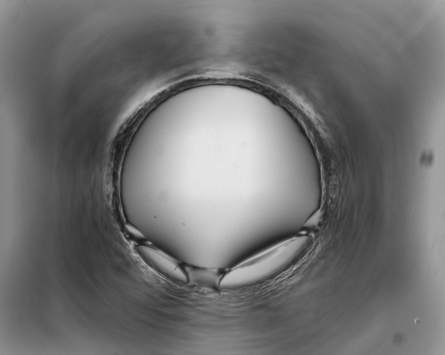 X0000097921456200804111127