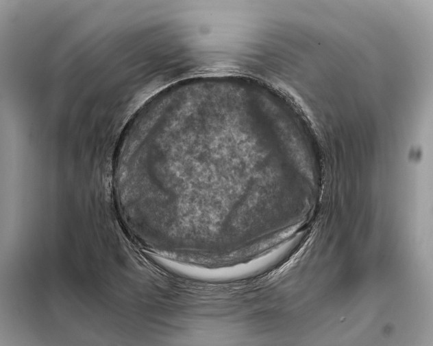 X0000097921457200804111127