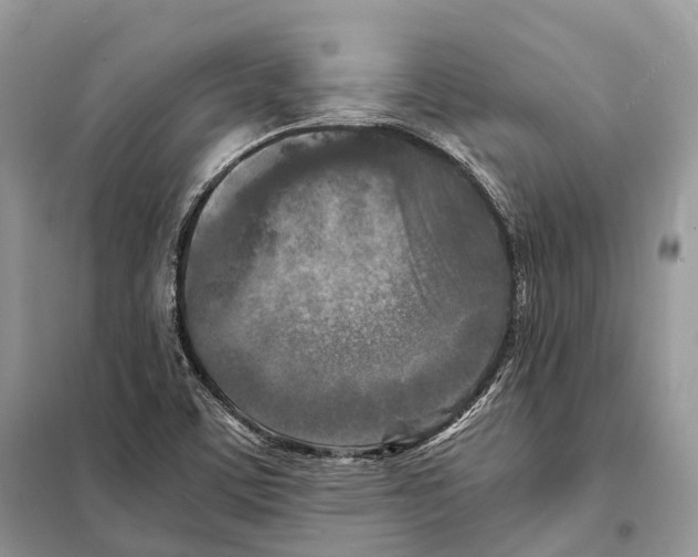 X0000097921459200804111127