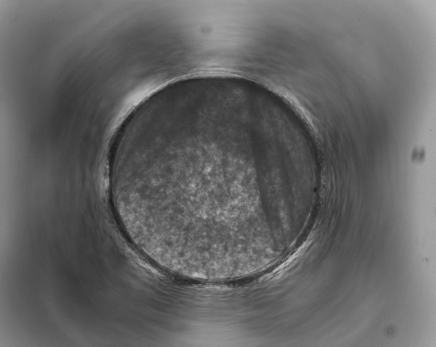 X0000097921461200804111127