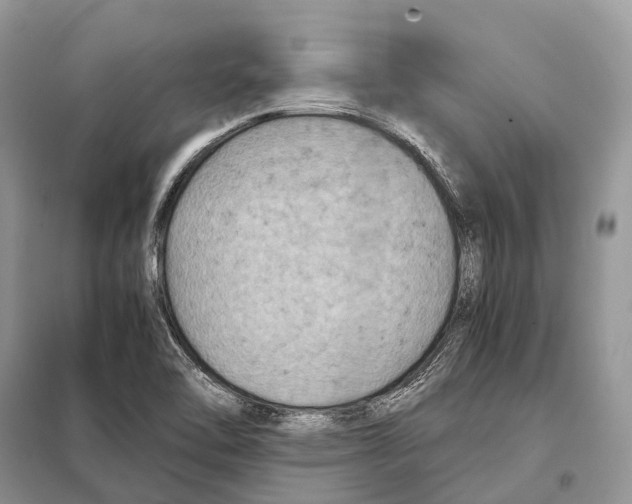 X0000097921462200804111127