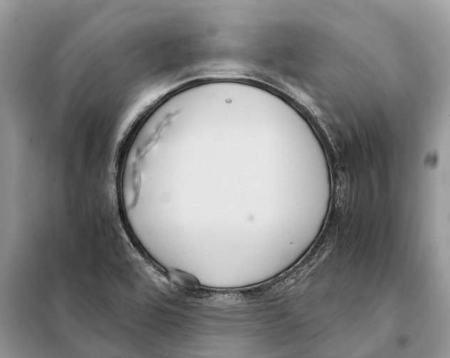 X0000097921464200804111127