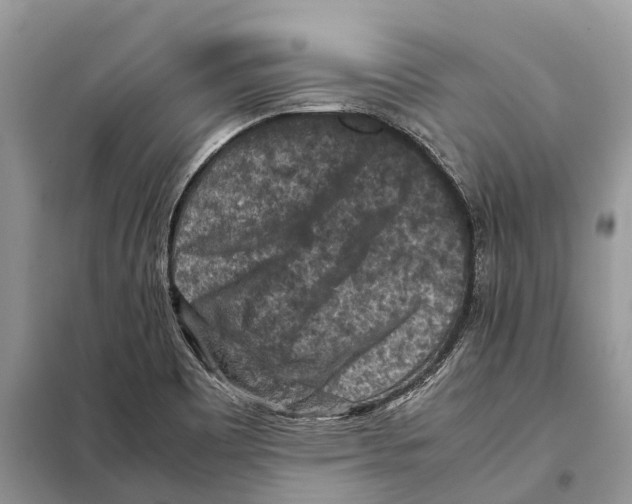 X0000097921465200804111127