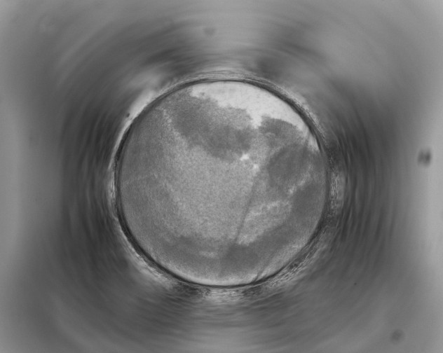 X0000097921466200804111127