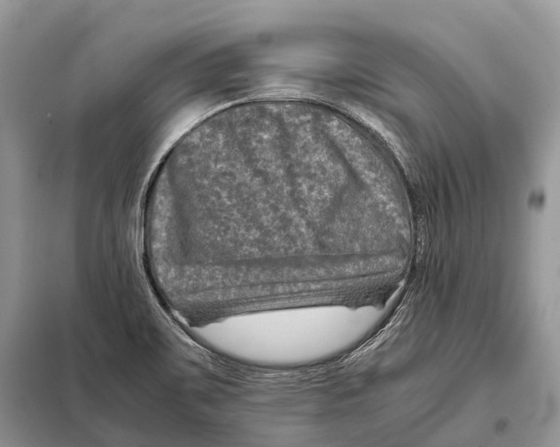 X0000097921467200804111127