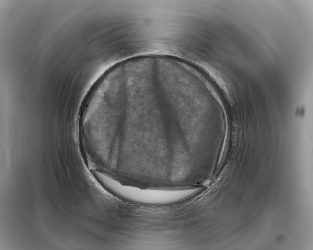 X0000097921468200804111127