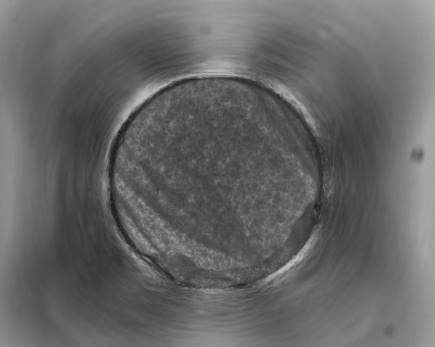 X0000097921469200804111127