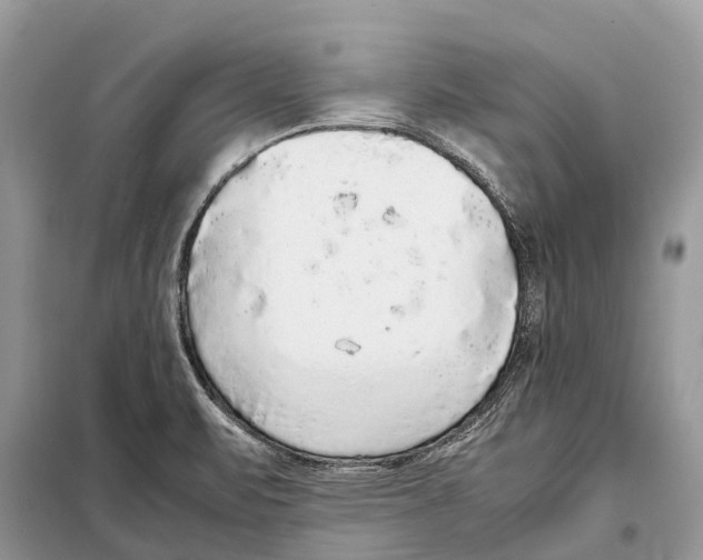 X0000097921471200804111127