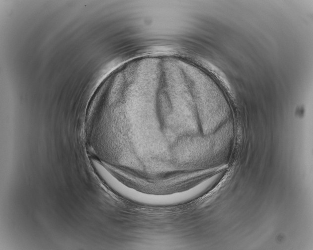 X0000097921473200804111127