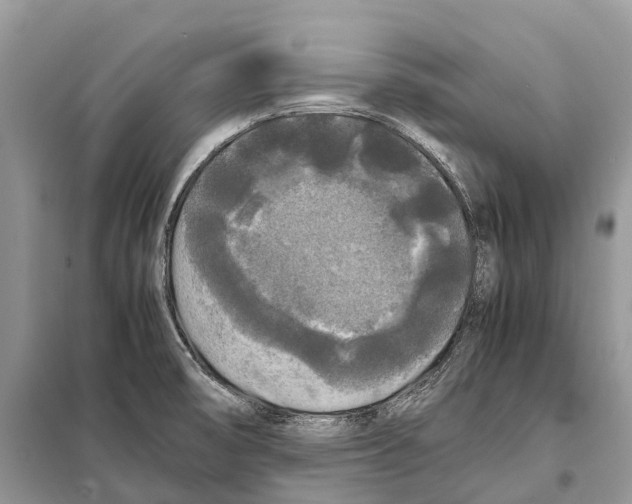 X0000097921474200804111127