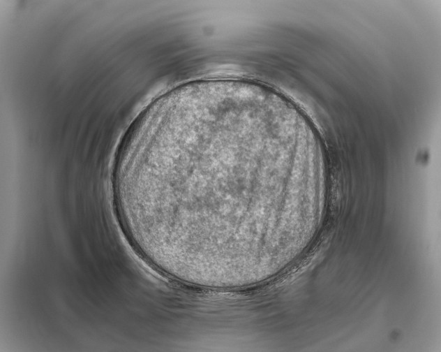 X0000097921475200804111127