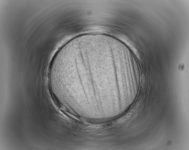 X0000097921477200804111126