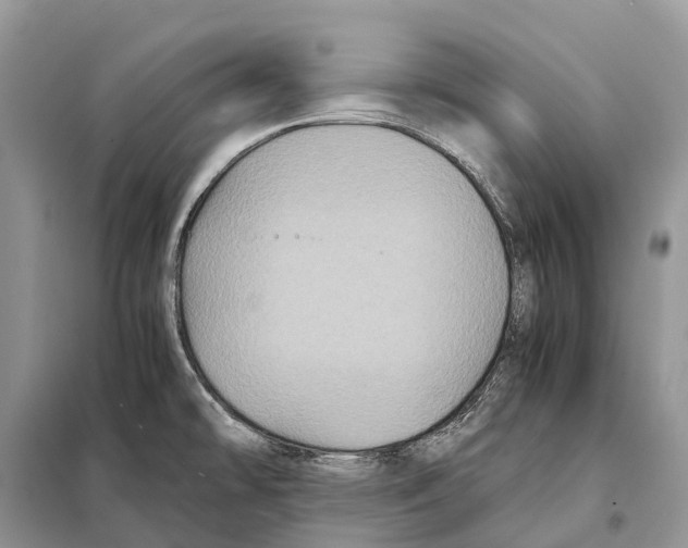 X0000097921478200804111126