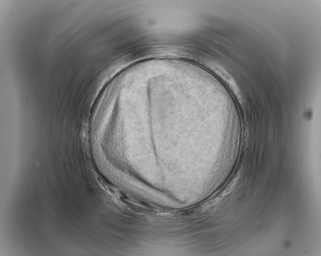 X0000097921481200804111126