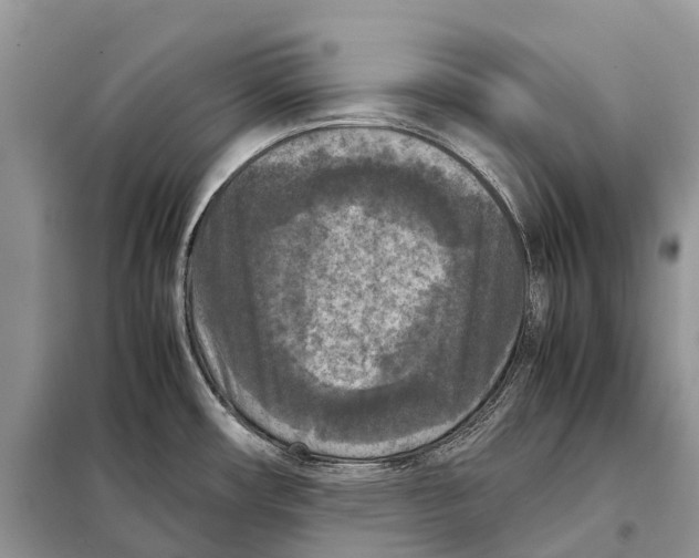 X0000097921482200804111126