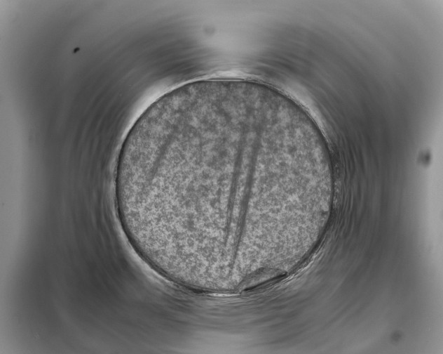 X0000097921483200804111126