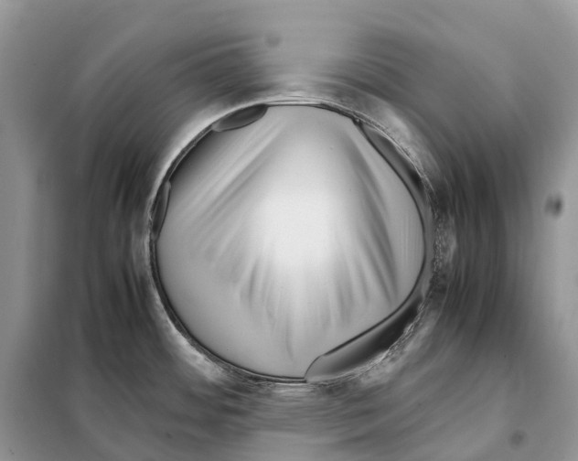 X0000097921484200804111126