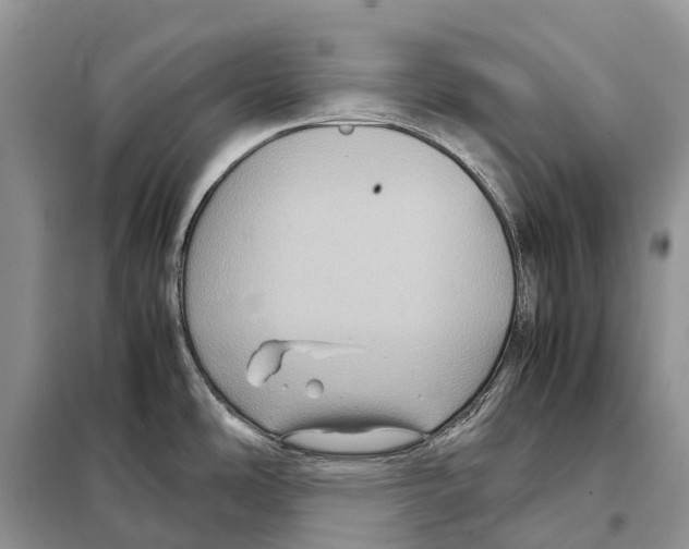 X0000097921486200804111126