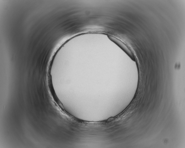 X0000097921488200804111126