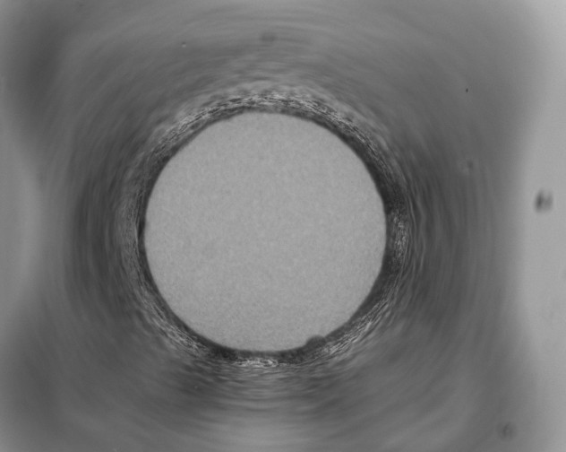 X0000097921489200804111125