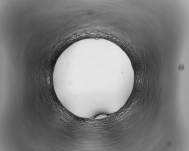 X0000097921490200804111125