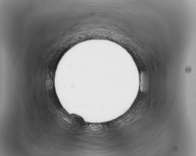 X0000097921491200804111125