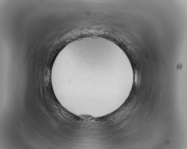 X0000097921492200804111125