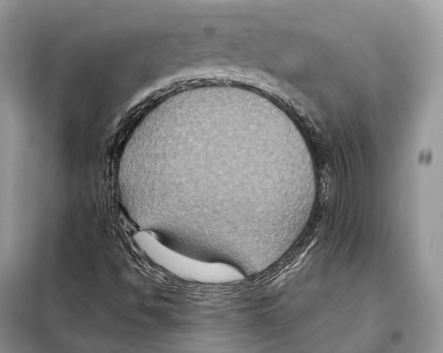 X0000097921494200804111125