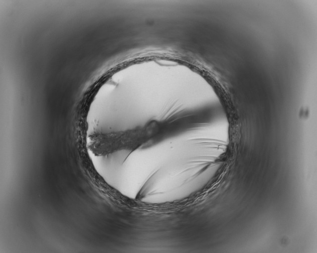 X0000097921496200804111125