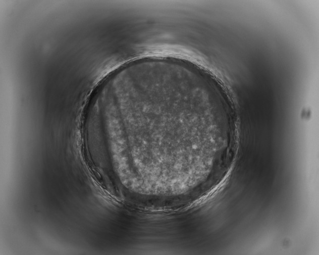 X0000097921497200804111126