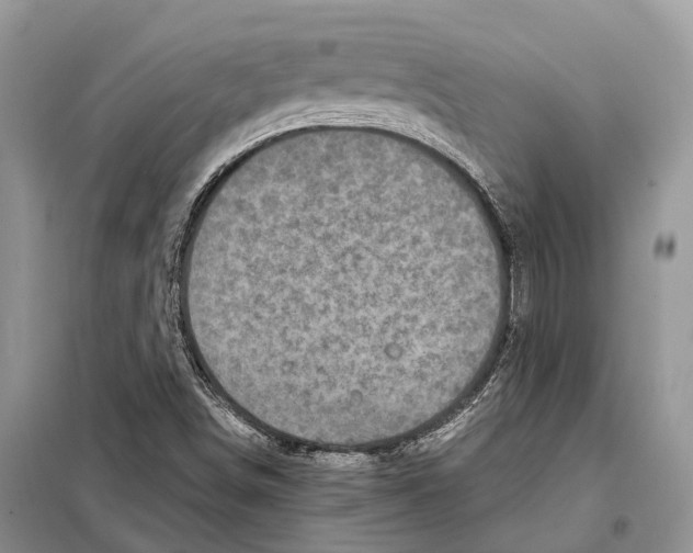 X0000097921498200804111126