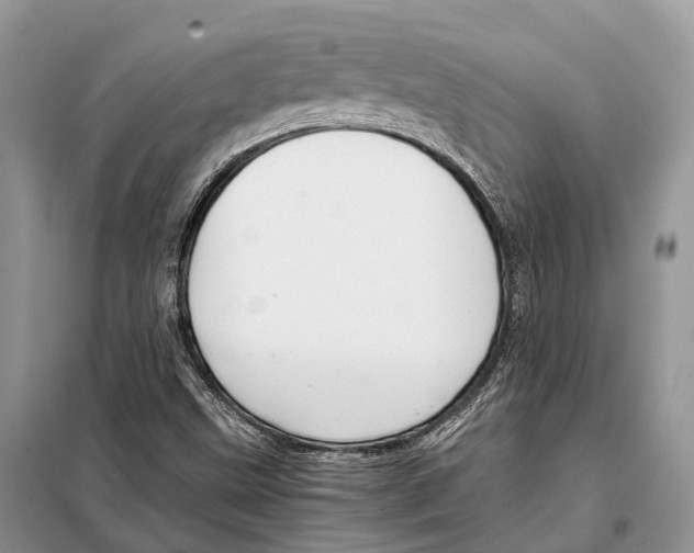 X0000097921499200804111126