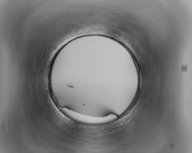 X0000097921500200804111126