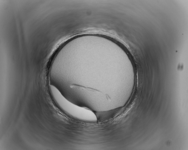 X0000097921501200804111126