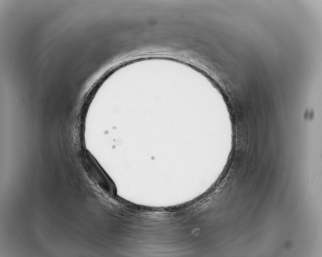 X0000097921502200804111126