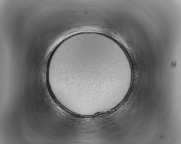 X0000097921504200804111126