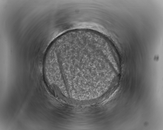 X0000097921505200804111126