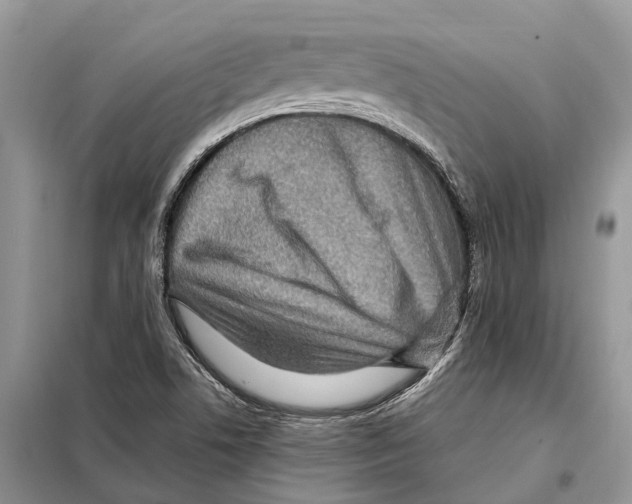 X0000097921506200804111126