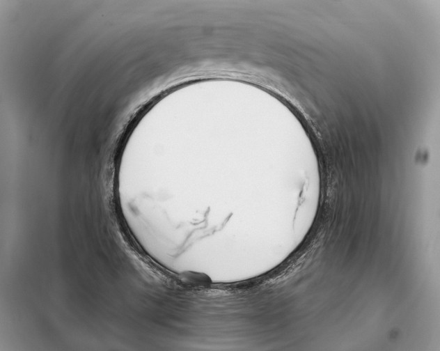 X0000097921507200804111126