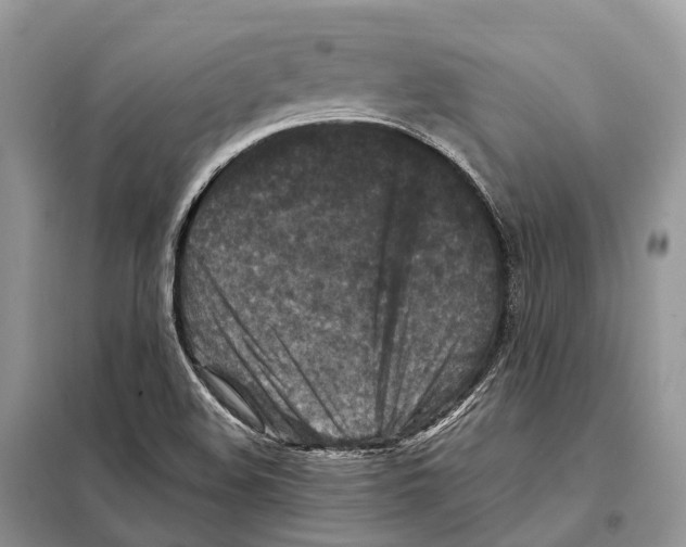 X0000097921508200804111126