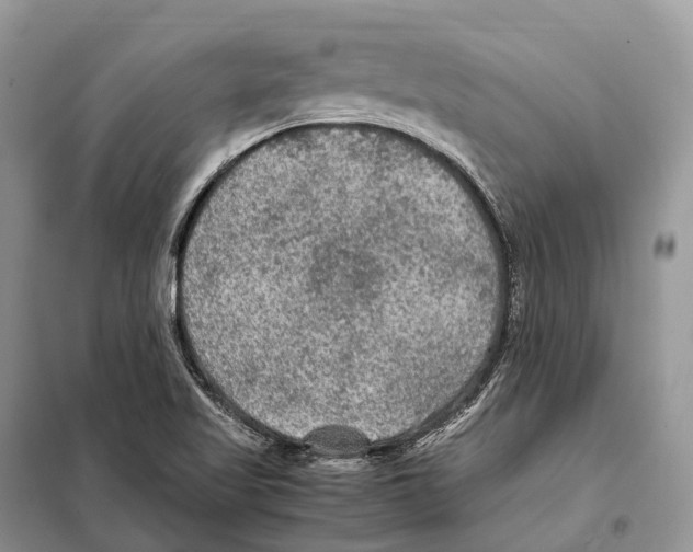 X0000097921509200804111126