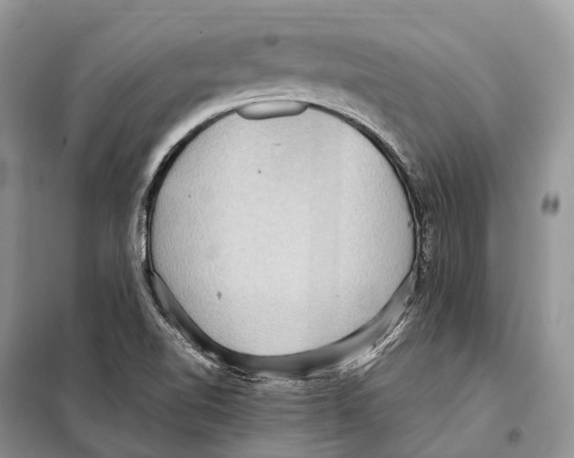 X0000097921510200804111126