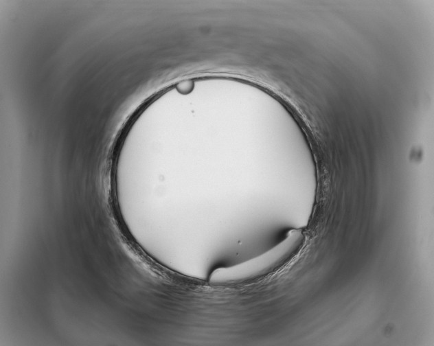 X0000097921511200804111126