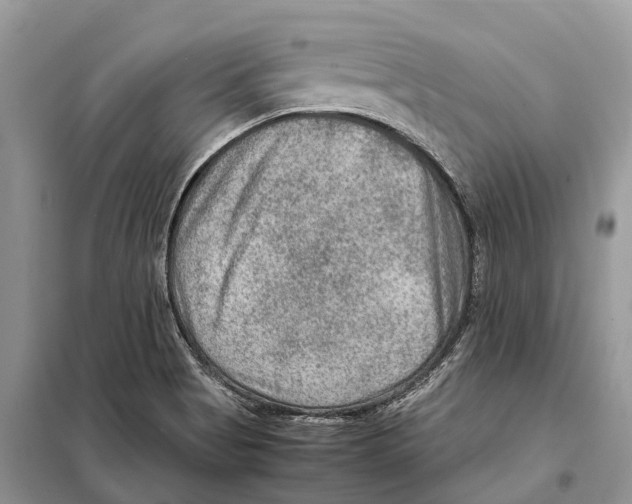 X0000097921513200804111126