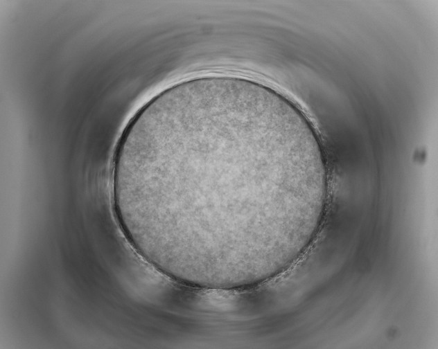 X0000097921514200804111126