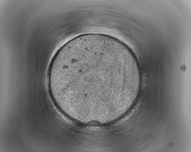 X0000097921517200804111126