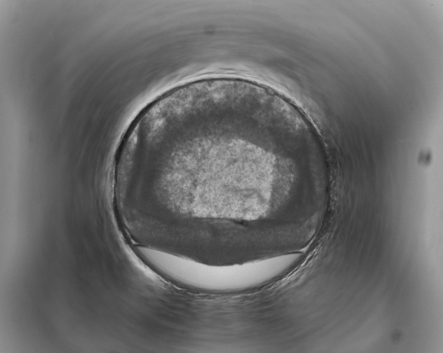 X0000097921519200804111126